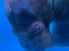 -皇家极地海洋世界-售票处