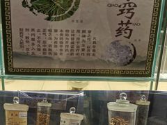 -广东中医药博物馆