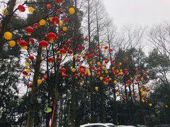 -缙云山景区