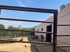 -青藏高原野生动物园