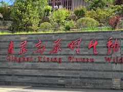 -青藏高原野生动物园