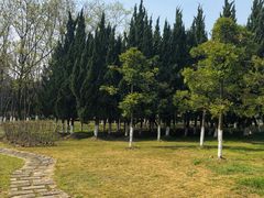 -白塘生态植物园