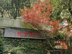 -龙井壹号·茶缘山景宴(龙井村店)