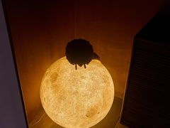 -梵几(东信·和创园店)