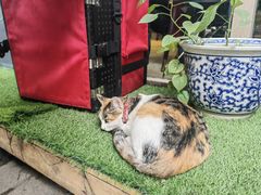 -后海16号·北京私房菜