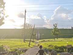 -佛手湖郊野公园