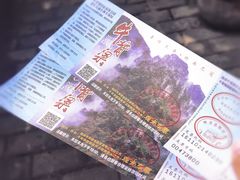 -牛背梁国家森林公园