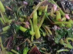 -柘林湖生态鱼馆
