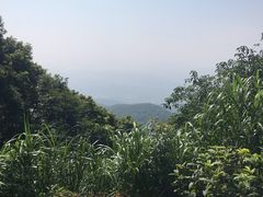 -广州市帽峰山景区