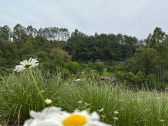 -黄龙溪欢乐田园