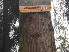 -九峰山