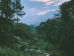 景点-福清灵石山国家森林公园