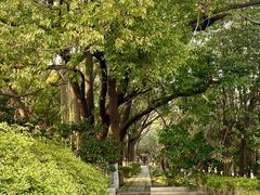 -凤城河风景区