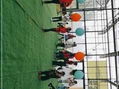 -前小桔亲子创意农场·草莓采摘·露营烧烤