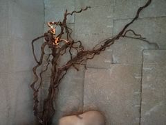 -佛山希尔顿酒店·融誉亚洲美食荟