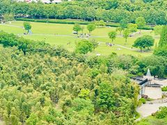 -宜兴龙背山森林公园