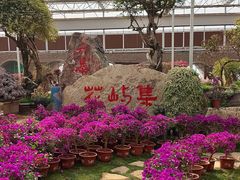 -沂蒙云瀑洞天景区