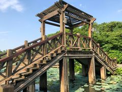 -艾溪湖湿地公园