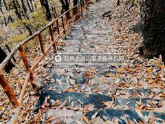 -北京上方山国家森林公园