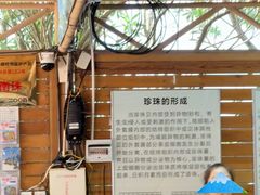 -北海金海湾红树林生态旅游区