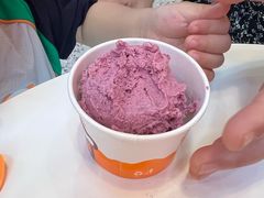 -iceason爱茜茜里·意大利健康冰淇淋(骑龙巷店)