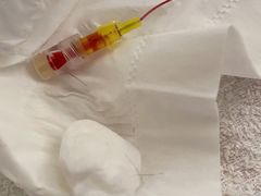 -德元·美联众合24小时动物医院(总院)