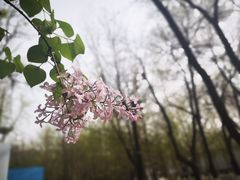 -山东大学(趵突泉校区)
