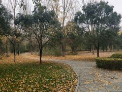 -长安大学(北校区)