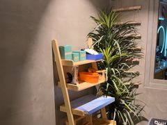 -施奈儿.洗头頭療.按摩SPA.采耳(上梅林店)