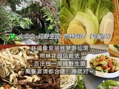 -西双版纳原始森林公园