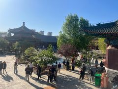 -曹州牡丹园