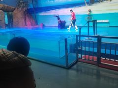 -乌鲁木齐海洋馆