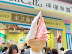 -柠檬车露(卖草地店)