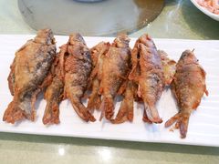 香煎禾花鱼-小北江河鲜(新城店)
