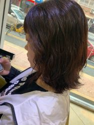 -环球蝶上美业连锁