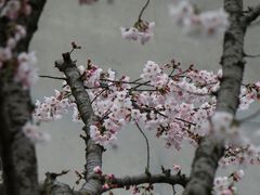 -龙美术馆(西岸馆)