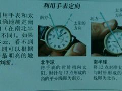 android_upload_pic-夏山营地教育