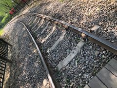 -西青郊野公园