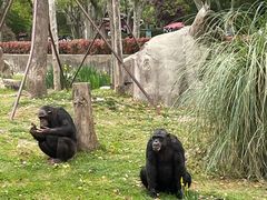 -上海野生动物园