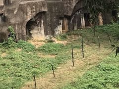 -合肥野生动物园