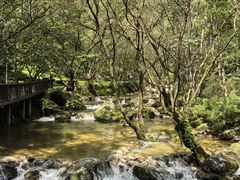 -牛背梁国家森林公园