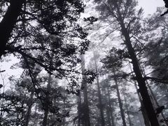 -瓦屋山景区