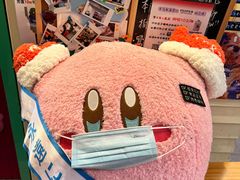 -egggcellent舒芙芮