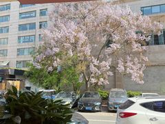 -韩香福脊骨汤锅(上杭路店)