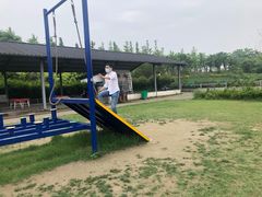 -杭州湾海上花田景区