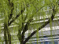 -外高桥保税区南(地铁站)