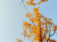 -两江幸福广场
