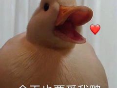 -国生茶庄·地道农家菜团建活动