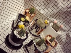 -Flower in(密渡桥店)