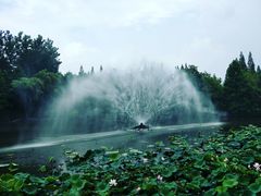 -梅林春晓花园餐厅